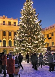 Schonbrunn Christmas